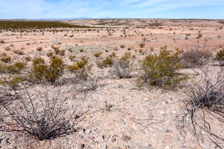 South side of Arroyo Cuervo