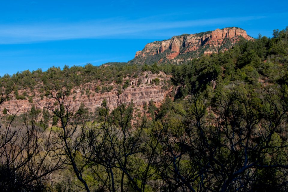 Fossil Springs Trail No. 18