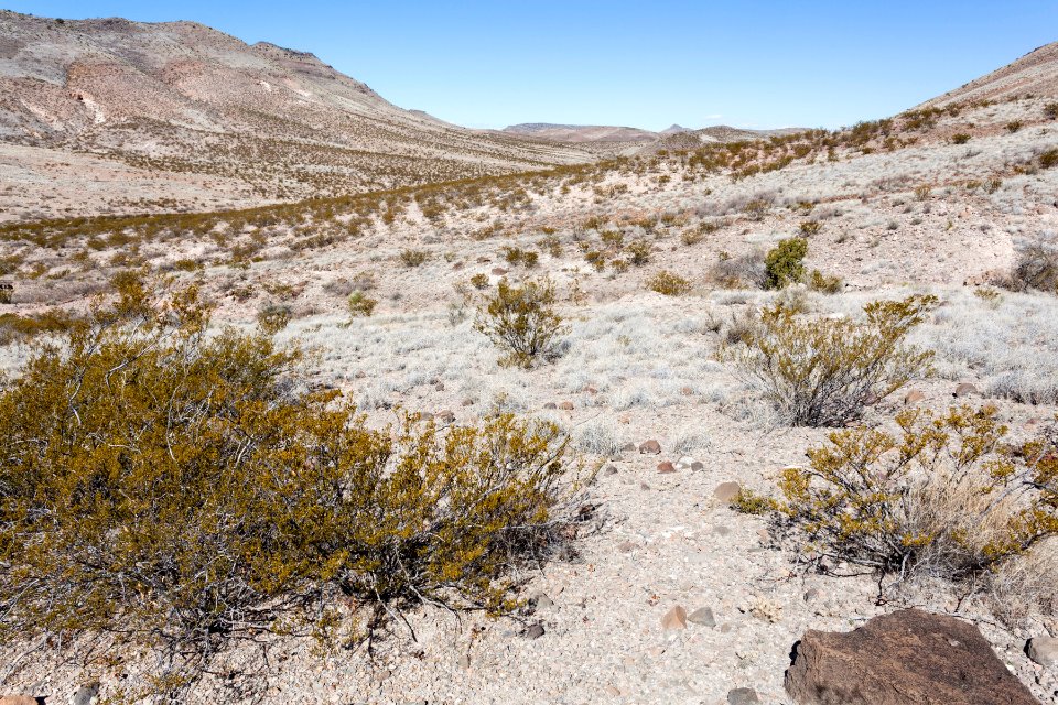 Eastern Sierra de las Uvas