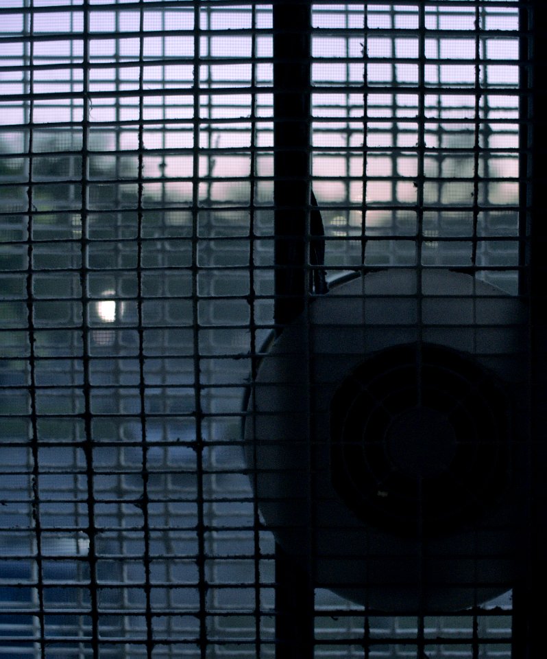 Through The Window