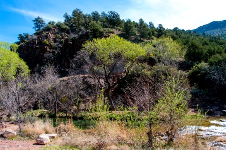 Fossil Creek Wild and Scenic River
