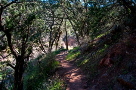 Fossil Springs Trail No. 18 photo