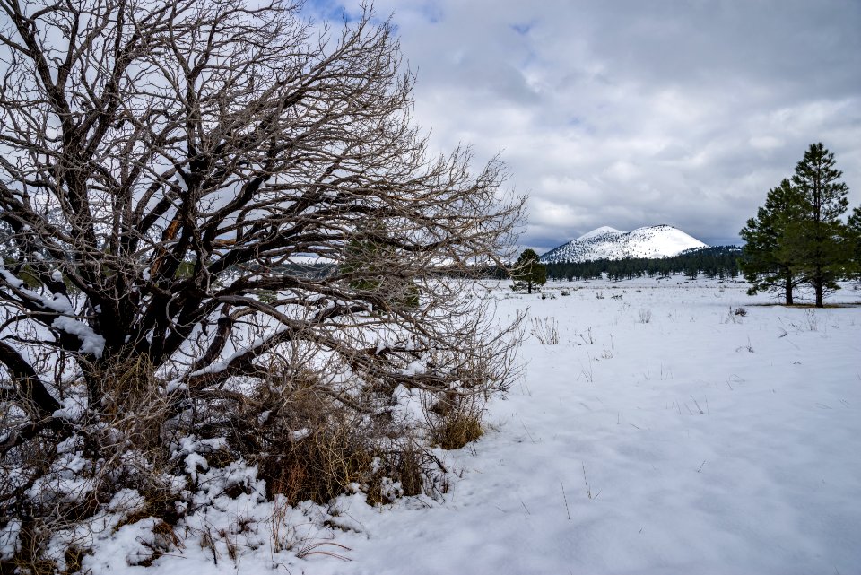 Winter in Bonito Park