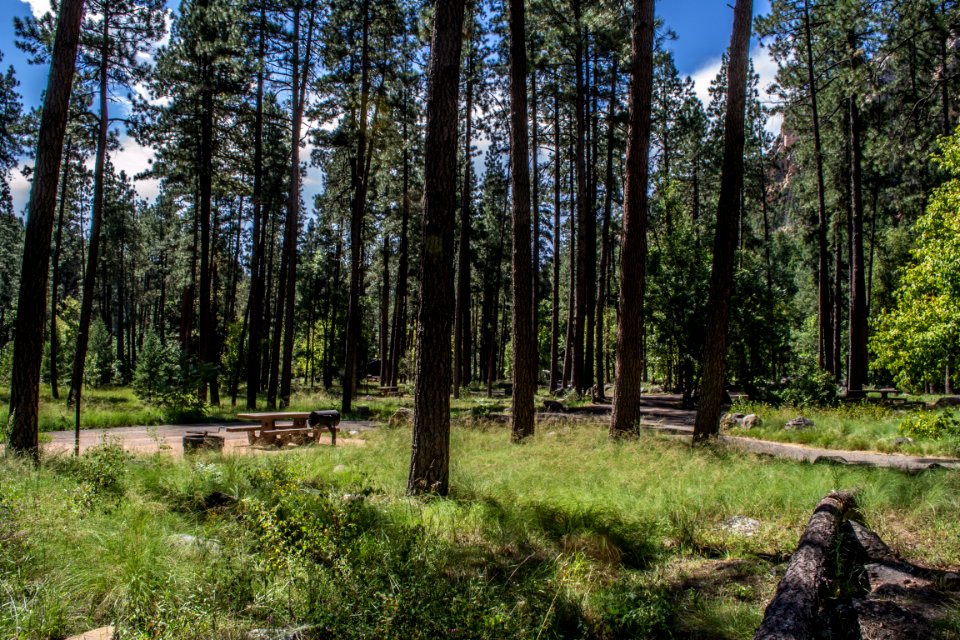 Pine Flat Campground