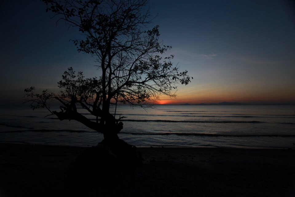 Evening landscape silhouette