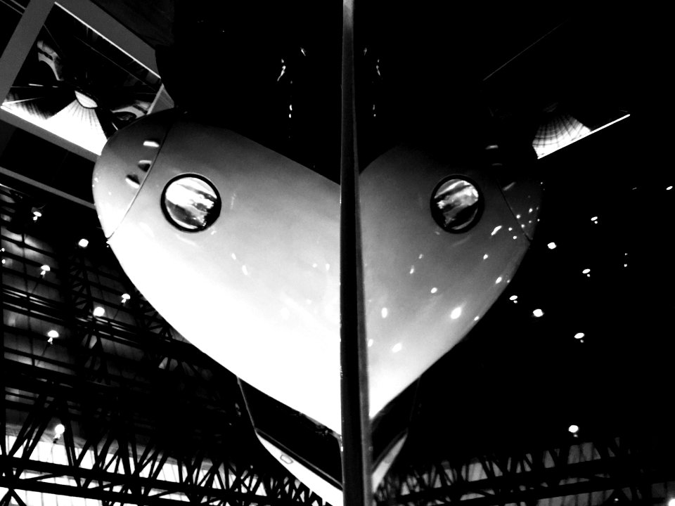 I Left My Heart in Tokyo