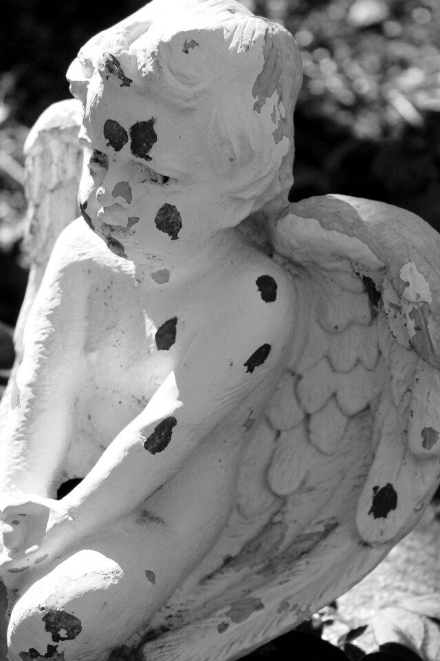 Wing heavenly religion