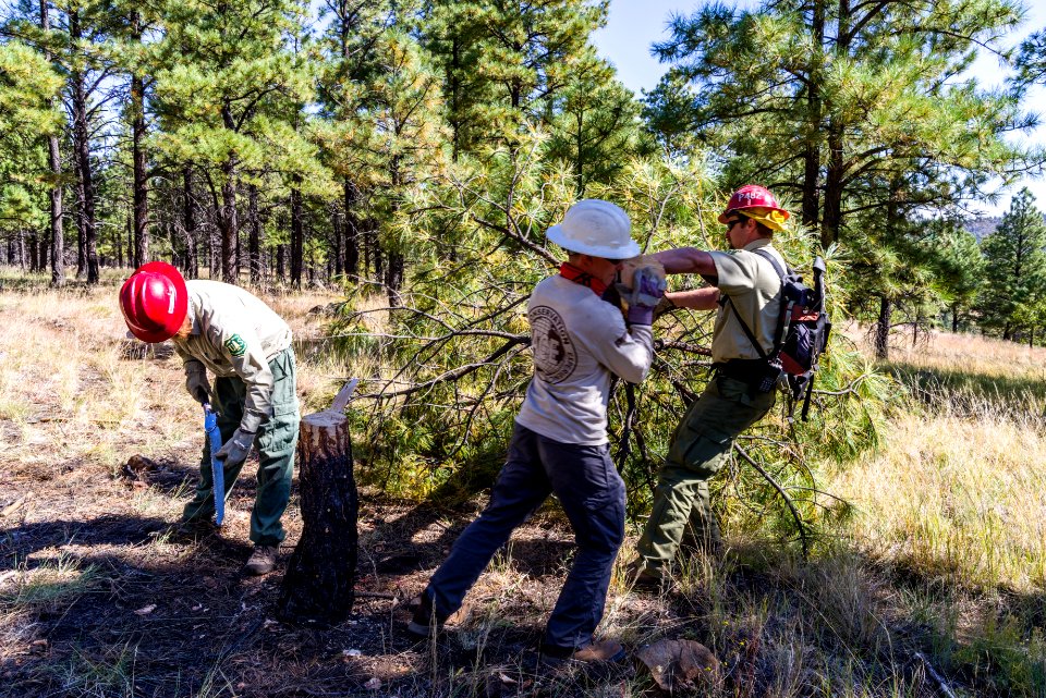 Deer Hill Trail: National Public Lands Day 2017