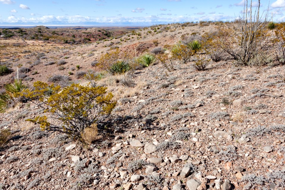 Northeast of Tularosa