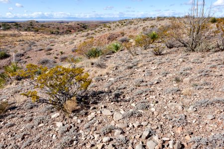 Northeast of Tularosa