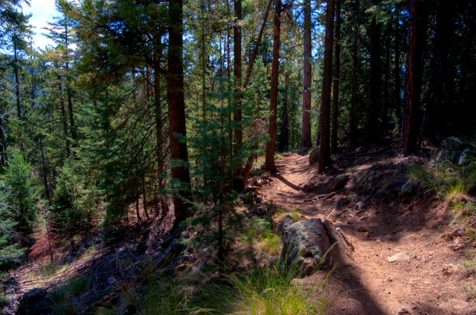 Sunset Trail No. 23