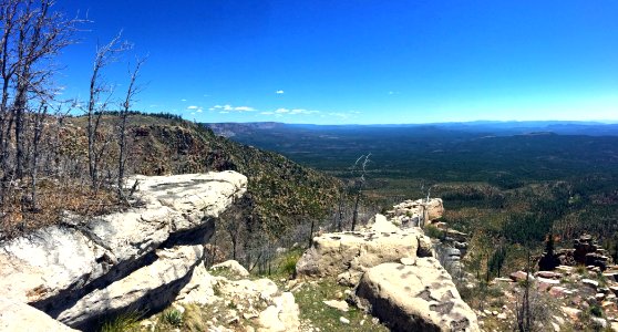 Mogollon Rim photo