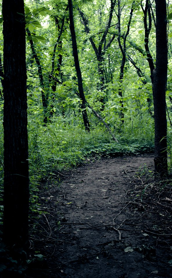 A Path