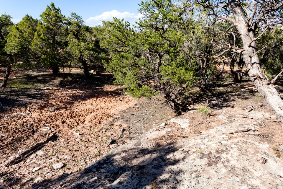Northeast of Little Park