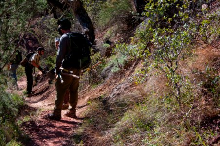 Fossil Springs Trail No. 18
