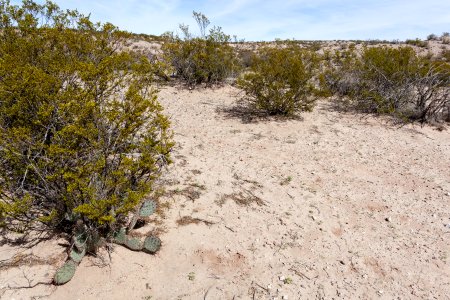 Northwest of Radium Springs