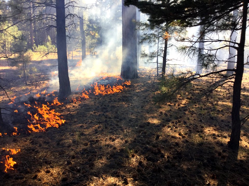 Pinchot Fire (September 25, 2016)
