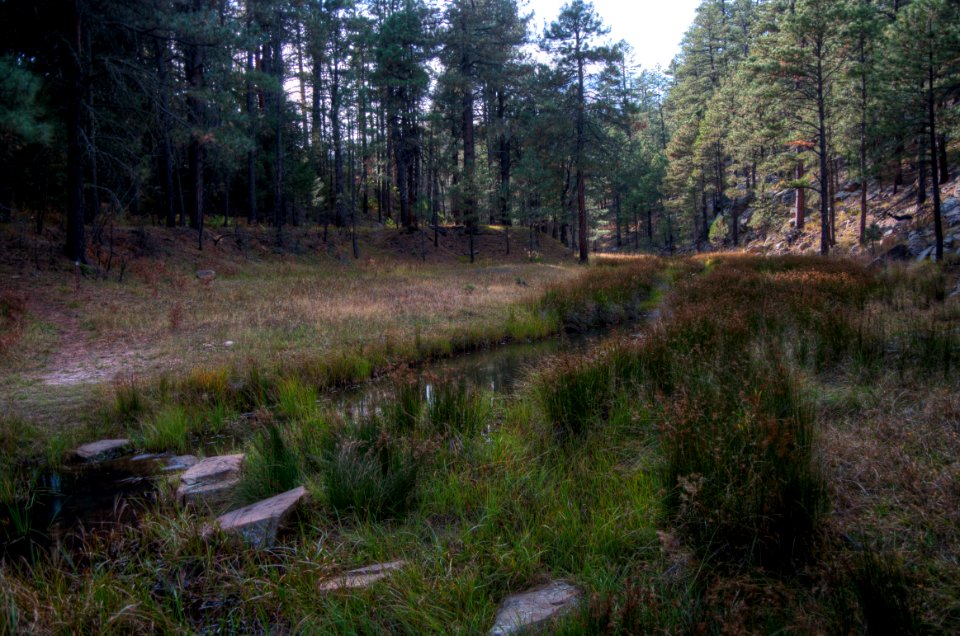 Fred Haught Trail #141