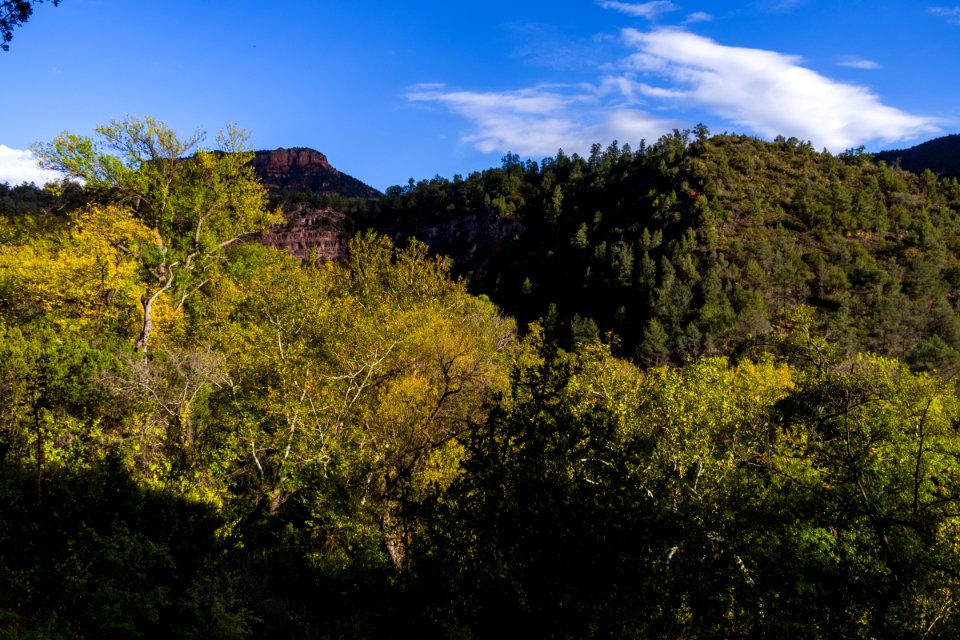 Fossil Springs Trail No. 18