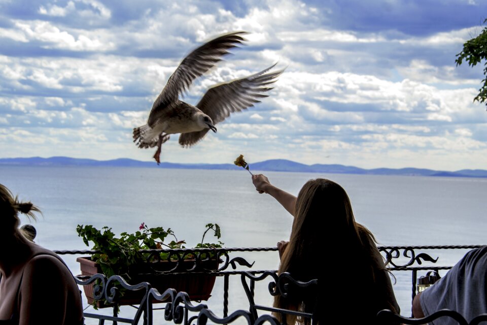 Restaurant outdoors holiday