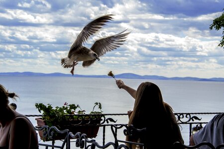 Restaurant outdoors holiday