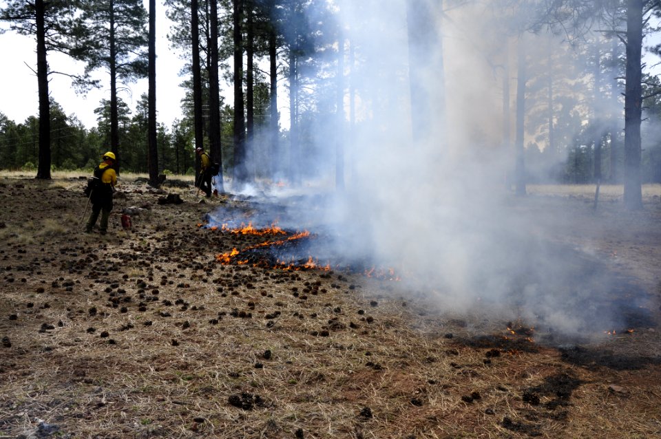 Woody Ridge Rx Burn 4-7-16