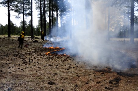 Woody Ridge Rx Burn 4-7-16