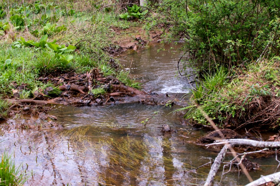 2018 Walk for the Woods Bacon Ridge Natural Area 214