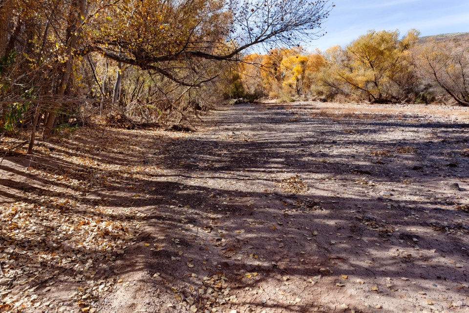 Gila River floodplain