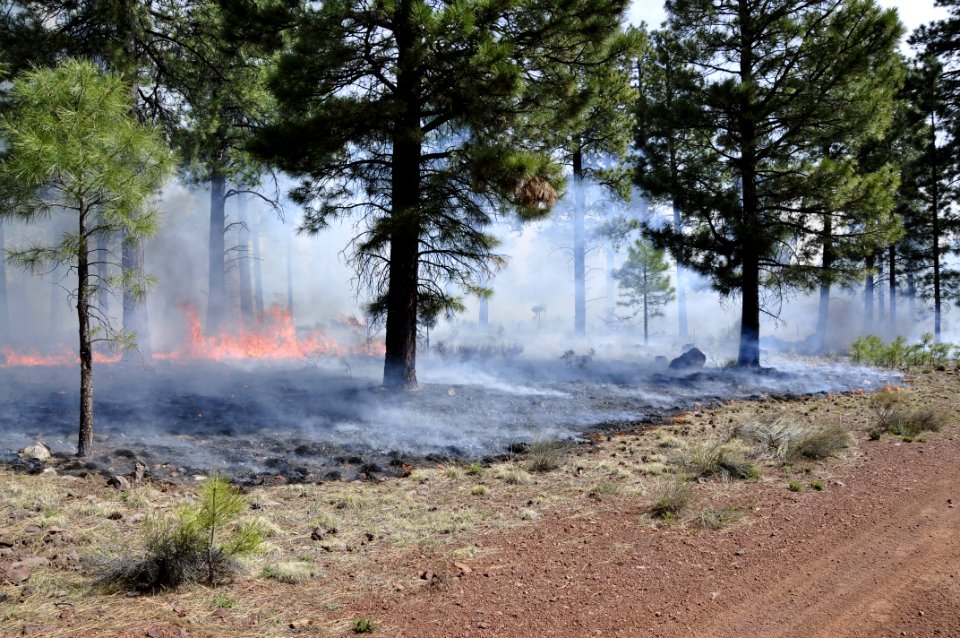 Woody Ridge Rx Burn 4-7-16