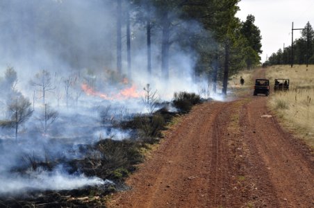 Woody Ridge Rx Burn 4-7-16