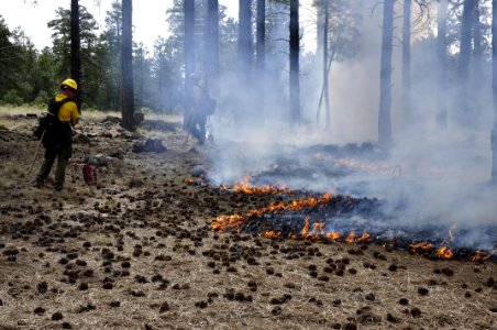 Woody Ridge Rx Burn 4-7-16