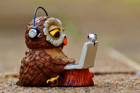 Funny laptop notebook