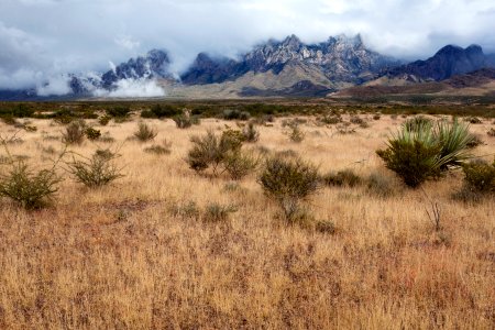 West bajada of the Organ Mountains