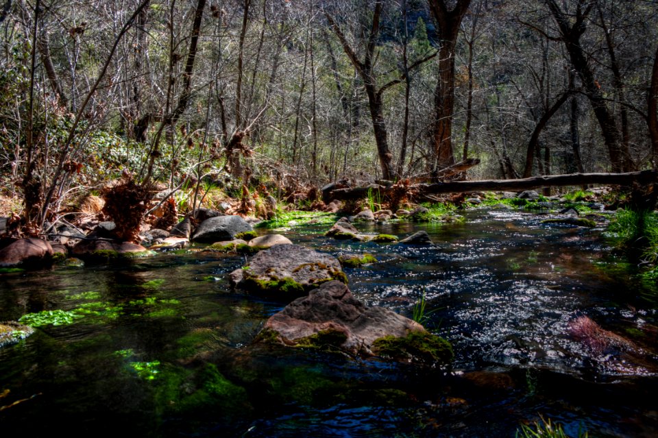 Fossil Springs