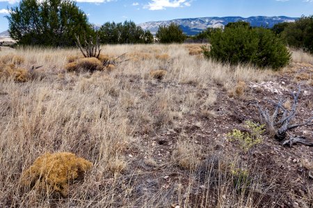 Fort Stanton