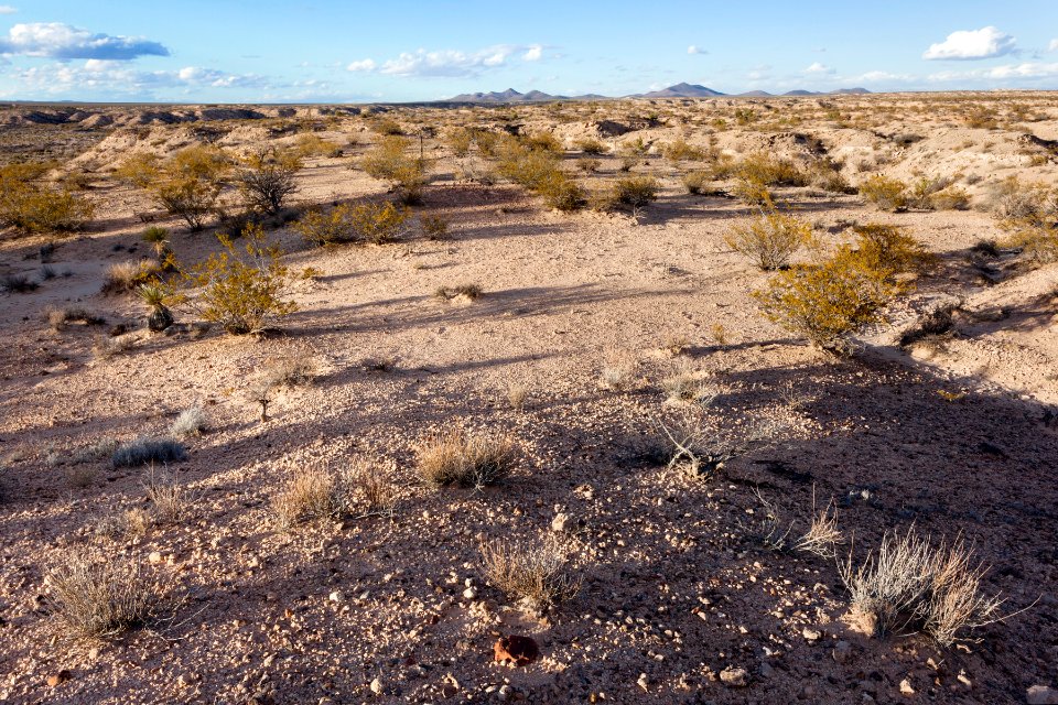 East side of Rincon Arroyo