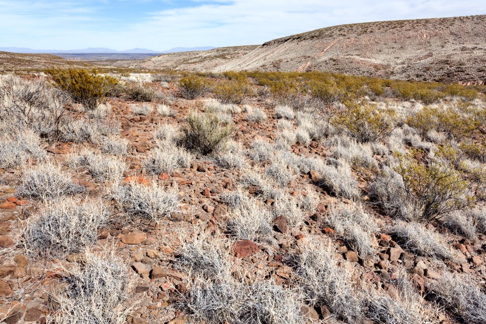 Southeast of Arroyo Angostura