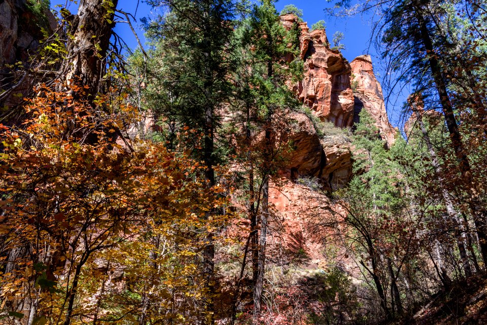 West Fork (October 24, 2017)