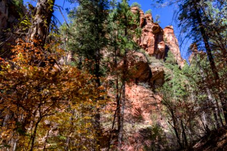 West Fork (October 24, 2017)