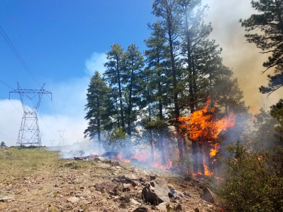 Snake Ridge Fire (May 27, 2017)