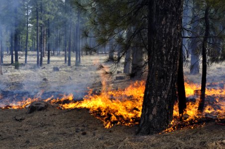 Woody Ridge Rx Burn 4-7-16