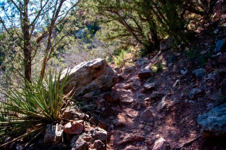Fossil Springs Trail No. 18
