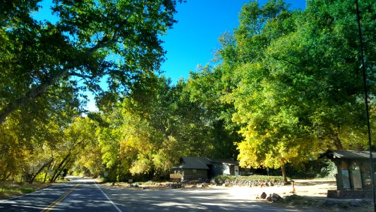 Fall Color in Oak Creek Canyon (November 8, 2017)