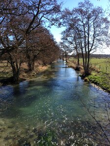 Water trees nature