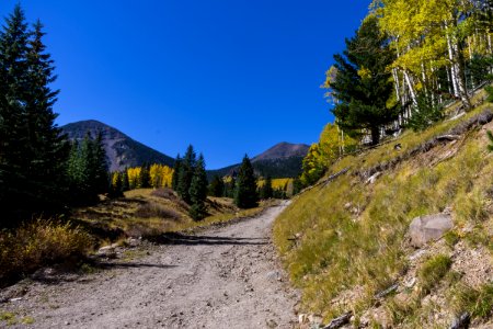 Inner Basin Trail No. 29