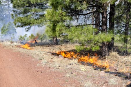 Woody Ridge Rx Burn 4-7-16