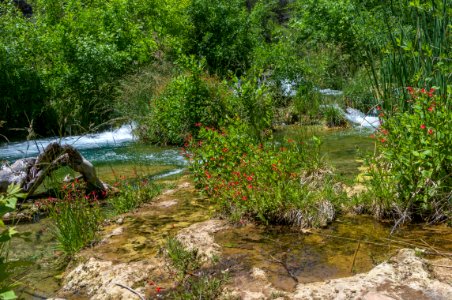 Waterfall Trail on Fossil Creek
