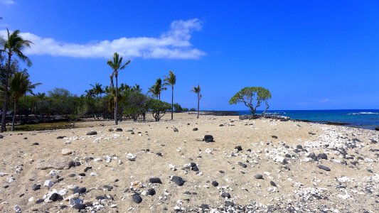 Beach, Big Island