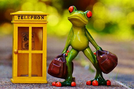 Book by phone miss